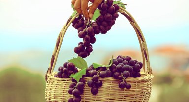 Karabağlar Kavacık Karnavalı İzmir'de