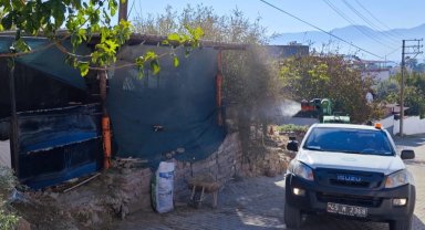 Manisa Büyükşehir'den 'Mavi Dil' hastalığına karşı mücadele