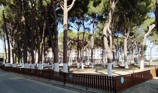 Manisa'da tarihi Muradiye Mezarlığı'na sahip çıktı