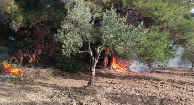 Mudanya Çağrışan'da tarım arazisinde çıkan yangın korkuttu