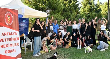 Muratpaşa'da patili dostlar yeni yuvalarına kavuştu