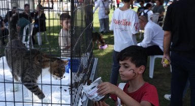 Nilüfer'de can dostlar yeni yuvalarına kavuşuyor
