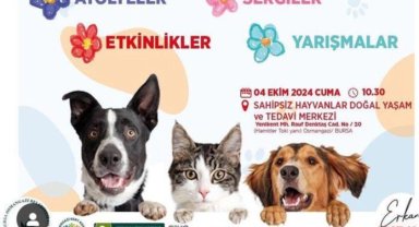 Osmangazi'de Dünya Hayvanları Koruma Günü'ne özel program