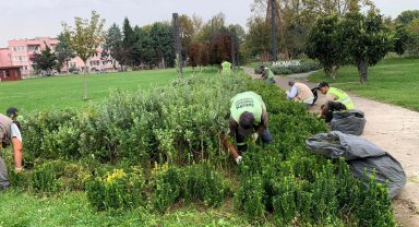 Sakarya'da şehrin dört bir yanına sonbahar dokunuşu
