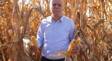 TZOB: Mısır üretimi arttırılmalı