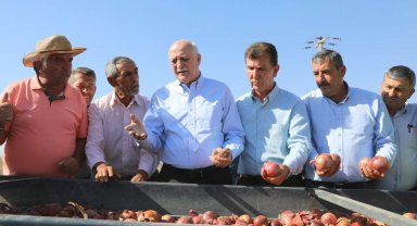 TZOB: Patates ve kuru soğana müdahale şart!