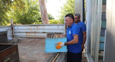 Yerel yönetimler arasında bir ilk: Temiz Petek Projesi