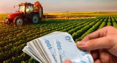 2025 bütçesinde tarıma 706 milyar TL ayrıldı