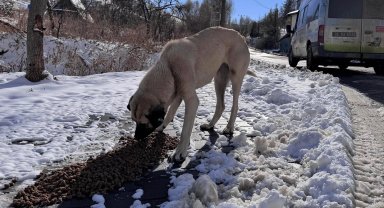 Ankara Keçiören can dostları unutmadı