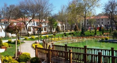 Ankara Kızılay'da 210 anıt ağaç koruma altında... Tarihi doku korunarak yenilendi