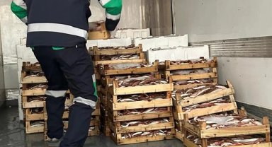 Aykırı avcılıkta 173 kasa barbunyaya el konuldu!