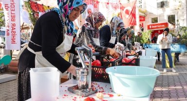 Bilecik nar şenliği ile renklendi