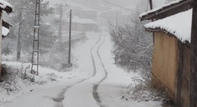 Bilecik Pazaryeri'nde kar yağışı başladı