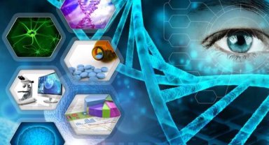 Biyoteknolojik girişimler artıyor