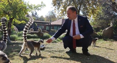 Bursa Hayvanat Bahçesi 26 yaşında