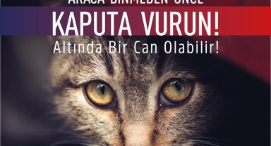Bursa Osmangazi'den araç sürücülerine uyarı: Önce kaputa vurun!