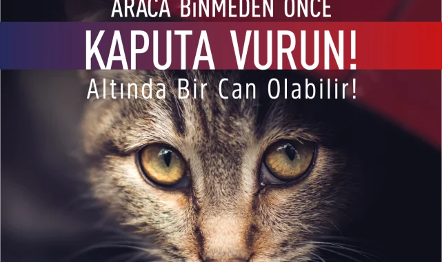 Bursa Osmangazi'den araç sürücülerine uyarı: Önce kaputa vurun!
