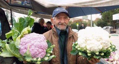Bursa Yenişehir'de mor karnabahar 'Pazar'ın gözdesi