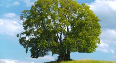 ÇEKÜL'den 'geleceğe nefes' çağrısı