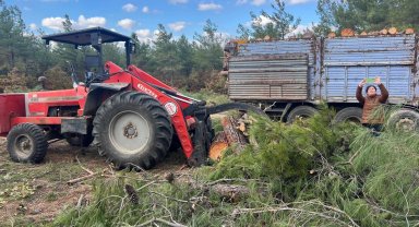 CHP'li vekilden Kazdağları'ndaki ağaç kıyımına suçüstü!