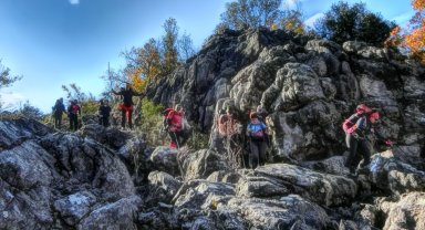 DOÇEK Toroslar'dan döndü