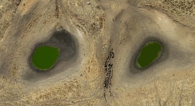 İklim değişikliği ekosistemleri tehdit ediyor