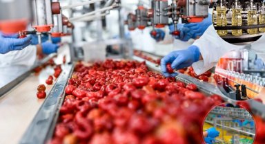 IPARD 3 kapsamında 38 projeye 397 milyon TL hibe