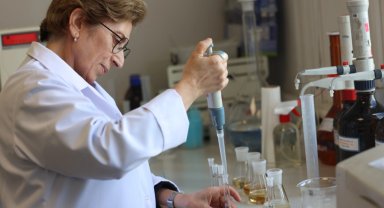 İstanbul tarımda verim ve kalitede vites yükseltti