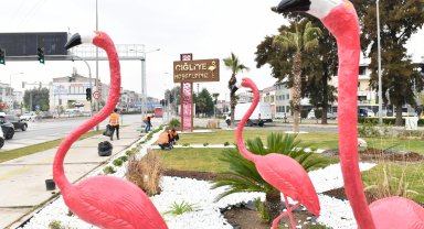İzmir Çiğli'de ziyaretçileri flamingolar karşılıyor
