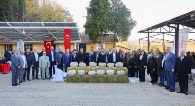 Kızıldamlar Kestane Kabağı Festivali'ne coşkulu kutlama