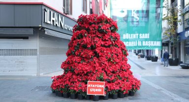 Kocaeli Ata'sını onun adını taşıyan çiçeklerle anıyor