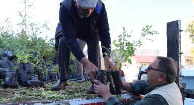 Konya'dan çiftçiye sumak desteği