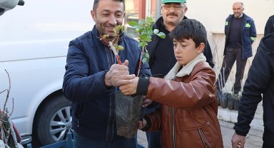 Konya'nın 3 ilçesinde üreticiye Antep Fıstığı desteği