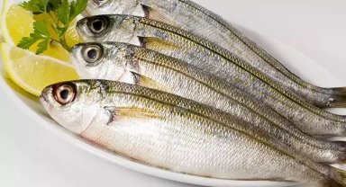 Kupes ile sardalya balığı gıda amaçlı tescillendi