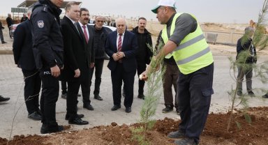 Mardin Yeşilli 2.ci OSB'de binlerce ağaç toprakla buluştu