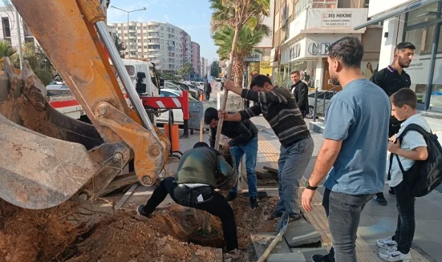 Mardin'de ağaç kesenler fidan dikti