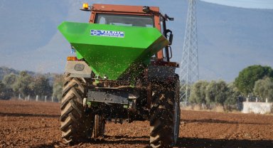 Milas'ta karakılçık buğdayları toprakla buluştu