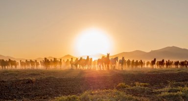 Ürgüp At Festivali başlıyor