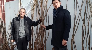 Bilecik Pazaryeri'nde meyvecilikte yeni dönem