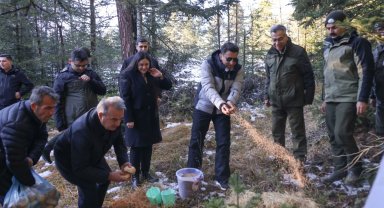 Bilecik'te yaban hayvanlarına Vali şefkati