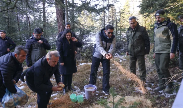 Bilecik'te yaban hayvanlarına Vali şefkati