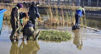 Bursa Büyükşehir'den Gökdere Millet'e bilimsel dokunuş