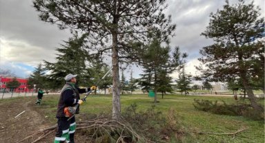 Bursa İnegöl'de yeşil alanlar bakıma alındı