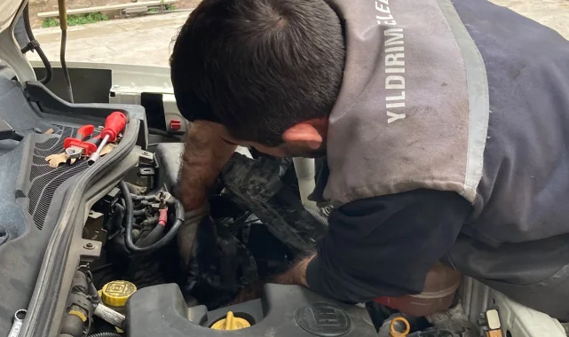Bursa Yıldırım'da kaputa sıkışan yavru kedi kurtarıldı