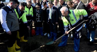 Bursa'da zeytin fidanları toprakla buluştu