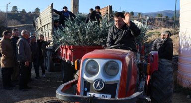 Eskişehir'de zeytincilik yaygınlaştırılacak... 17 bin Gemlik zeytin fidanı dağıtıldı