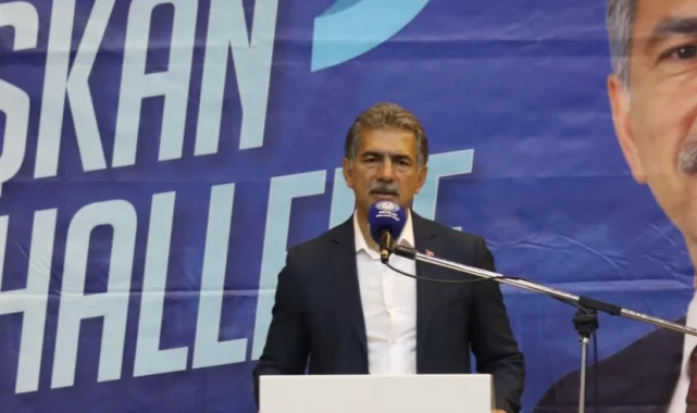 Gemlik Belediyesi'nden 'köpek ölümü' açıklaması