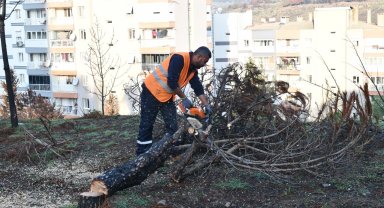 İzmir Çiğli yangın izlerini siliyor!