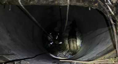 İzmir İtfaiyesi'nden 'buzağı' operasyonu!