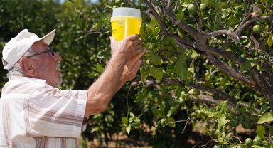 İzmir'den çiftçiye 270 milyon liralık destek